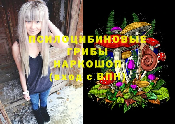 мдпв Володарск