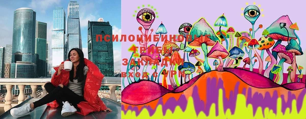 мдпв Володарск