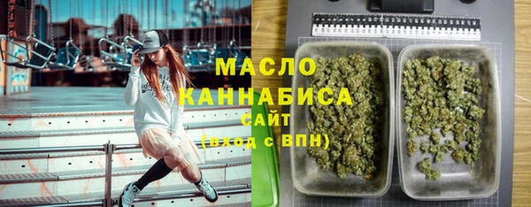 мдпв Володарск