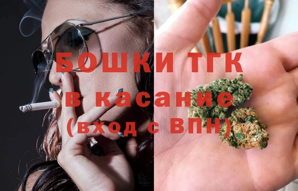 стаф Волосово