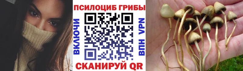 Псилоцибиновые грибы MAGIC MUSHROOMS Демидов